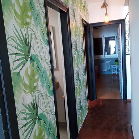 Aloha Miami Apartment Miami Playa