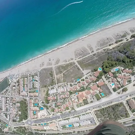 Aloha Miami